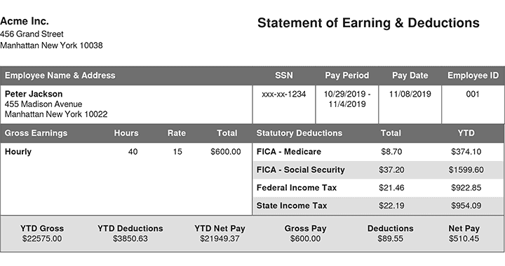 Standard Paystub Template