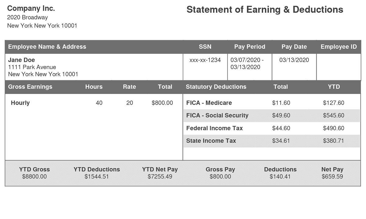 Standard Paystub Template