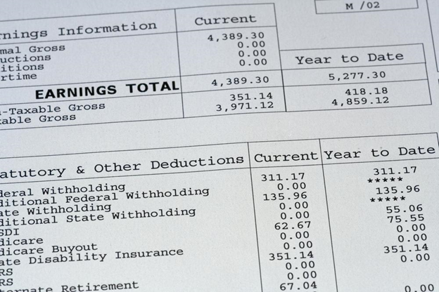 Paystub Earnings Total